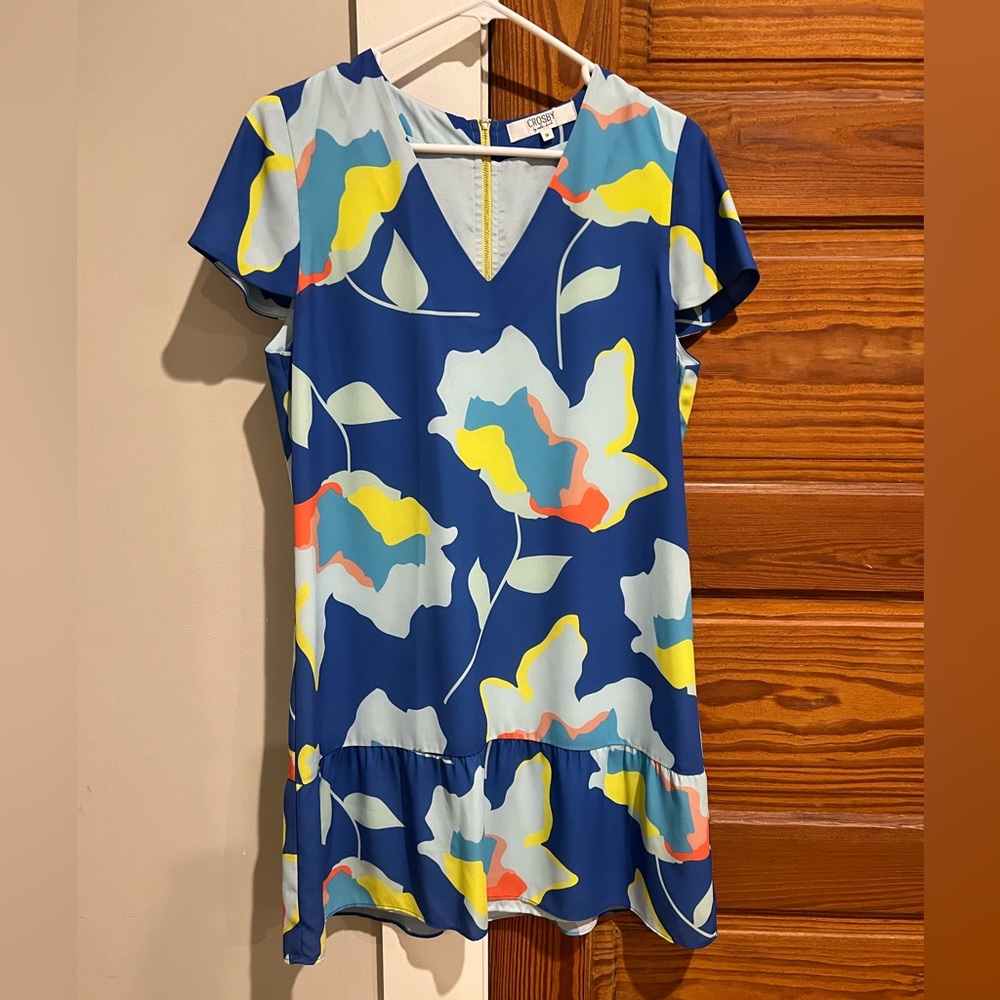 Crosby by mollie burch dress